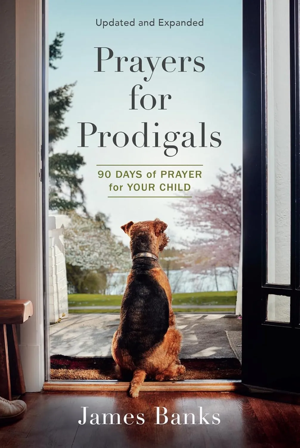 Prayers for Prodigals: 90 Days of Prayer for Your Child (A Daily Devotional for Parents with Bible Readings and Meditations for Moms and Dads) Paperback  March 1, 2022